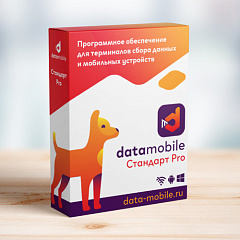 ПО DataMobile, версия Стандарт Pro в Кемерово