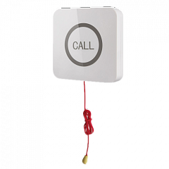 Кнопка вызова iBells 310S влагозащищенная со шнуром для МГН в Кемерово